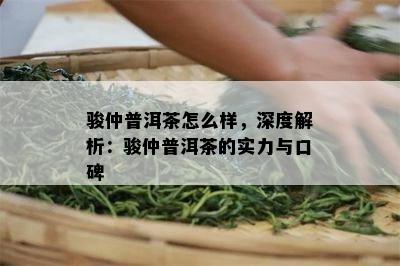 骏仲普洱茶怎么样，深度解析：骏仲普洱茶的实力与口碑