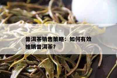 普洱茶销售策略：如何有效推销普洱茶？