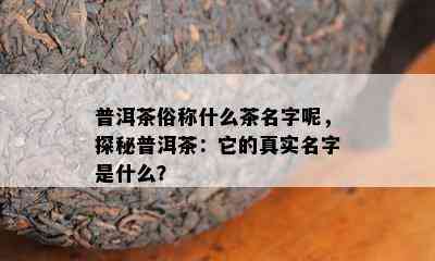 普洱茶俗称什么茶名字呢，探秘普洱茶：它的真实名字是什么？