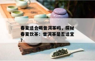 春夏适合喝普洱茶吗，探秘春夏饮茶：普洱茶是否适宜？