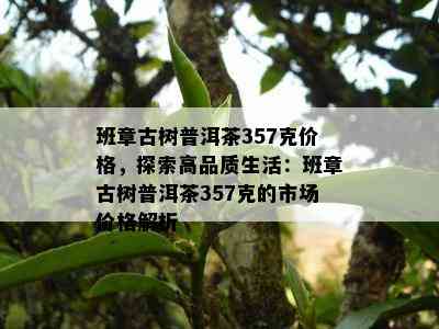 班章古树普洱茶357克价格，探索高品质生活：班章古树普洱茶357克的市场价格解析