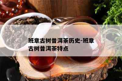 班章古树普洱茶历史-班章古树普洱茶特点