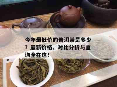 今年更低价的普洱茶是多少？最新价格、对比分析与查询全在这！