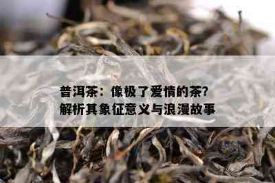 普洱茶：像极了爱情的茶？解析其象征意义与浪漫故事