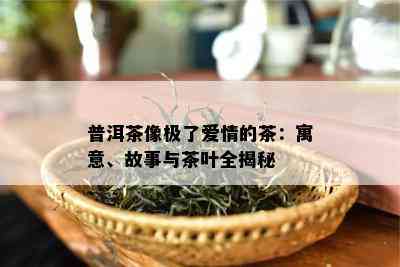 普洱茶像极了爱情的茶：寓意、故事与茶叶全揭秘