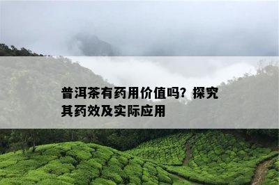 普洱茶有用价值吗？探究其效及实际应用