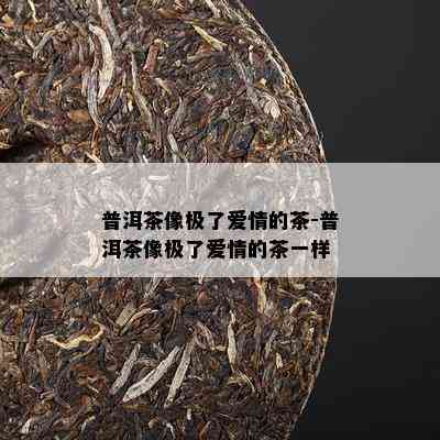 普洱茶像极了爱情的茶-普洱茶像极了爱情的茶一样