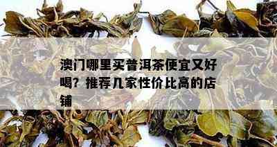 哪里买普洱茶便宜又好喝？推荐几家性价比高的店铺