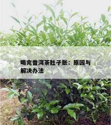 喝完普洱茶肚子胀：原因与解决办法