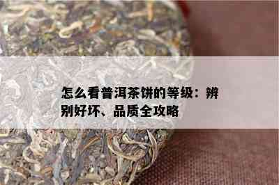 怎么看普洱茶饼的等级：辨别好坏、品质全攻略