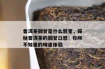 普洱茶回甘是什么感觉，探秘普洱茶的回甘口感：你所不知道的味道体验