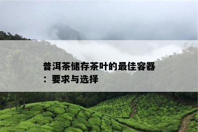 普洱茶储存茶叶的更佳容器：要求与选择