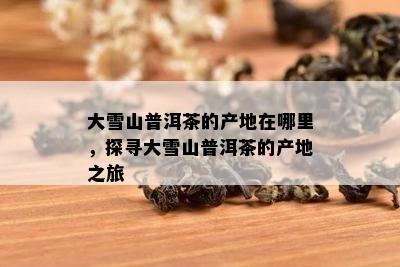 大雪山普洱茶的产地在哪里，探寻大雪山普洱茶的产地之旅