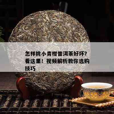 怎样挑小青柑普洱茶好坏？看这里！视频解析教你选购技巧