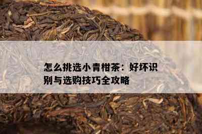 怎么挑选小青柑茶：好坏识别与选购技巧全攻略