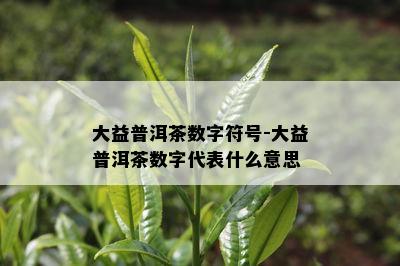 大益普洱茶数字符号-大益普洱茶数字代表什么意思