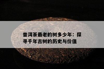 普洱茶最老的树多少年：探寻千年古树的历史与价值