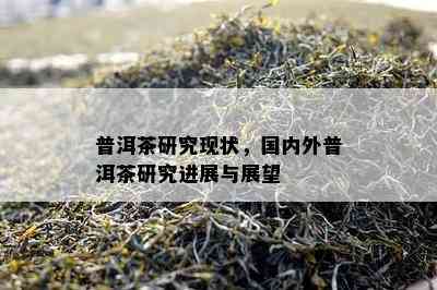 普洱茶研究现状，国内外普洱茶研究进展与展望