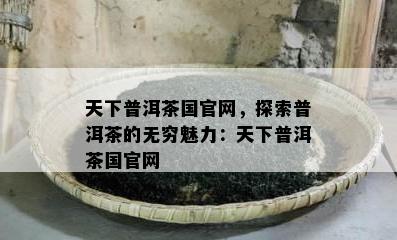 天下普洱茶国官网，探索普洱茶的无穷魅力：天下普洱茶国官网