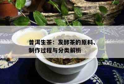 普洱生茶：发酵茶的原料、制作过程与分类解析