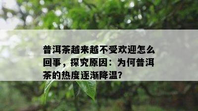 普洱茶越来越不受欢迎怎么回事，探究原因：为何普洱茶的热度逐渐降温？