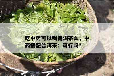 吃中可以喝普洱茶么，中搭配普洱茶：可行吗？