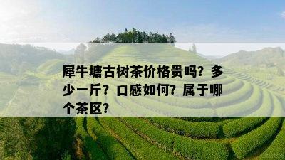 犀牛塘古树茶价格贵吗？多少一斤？口感如何？属于哪个茶区？