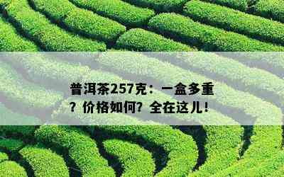 普洱茶257克：一盒多重？价格如何？全在这儿！