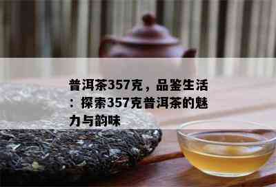 普洱茶357克，品鉴生活：探索357克普洱茶的魅力与韵味