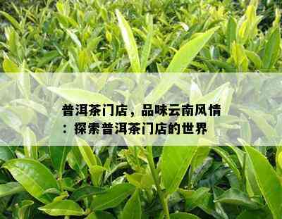 普洱茶门店，品味云南风情：探索普洱茶门店的世界