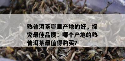 熟普洱茶哪里产地的好，探究更佳品质：哪个产地的熟普洱茶最值得购买？