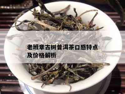 老班章古树普洱茶口感特点及价格解析