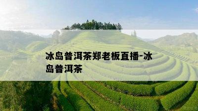 冰岛普洱茶郑老板直播-冰岛普洱茶