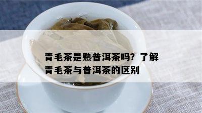 青毛茶是熟普洱茶吗？了解青毛茶与普洱茶的区别