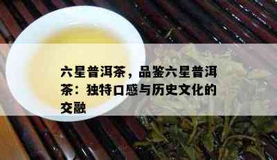 六星普洱茶，品鉴六星普洱茶：独特口感与历史文化的交融