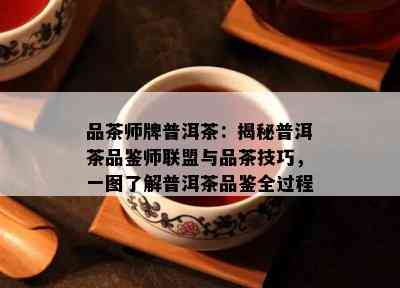 品茶师牌普洱茶：揭秘普洱茶品鉴师联盟与品茶技巧，一图了解普洱茶品鉴全过程