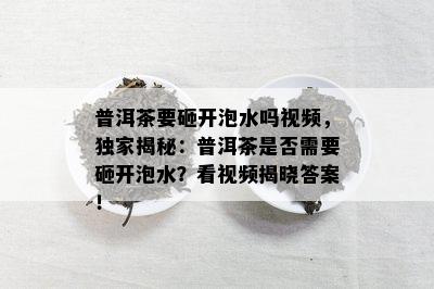 普洱茶要砸开泡水吗视频，独家揭秘：普洱茶是否需要砸开泡水？看视频揭晓答案！