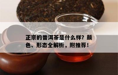 正宗的普洱茶是什么样？颜色、形态全解析，附推荐！