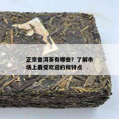 正宗普洱茶有哪些？了解市场上更受欢迎的和特点