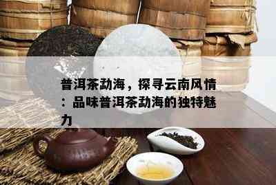 普洱茶勐海，探寻云南风情：品味普洱茶勐海的独特魅力