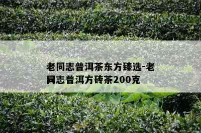 老同志普洱茶东方臻选-老同志普洱方砖茶200克