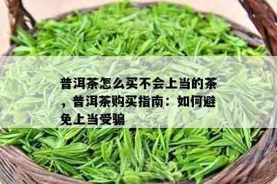 普洱茶怎么买不会上当的茶，普洱茶购买指南：如何避免上当受骗