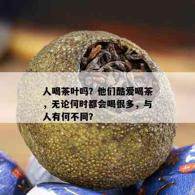 人喝茶叶吗？他们酷爱喝茶，无论何时都会喝很多，与人有何不同？