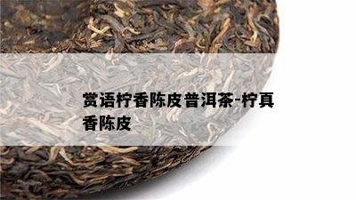 赏语柠香陈皮普洱茶-柠真香陈皮