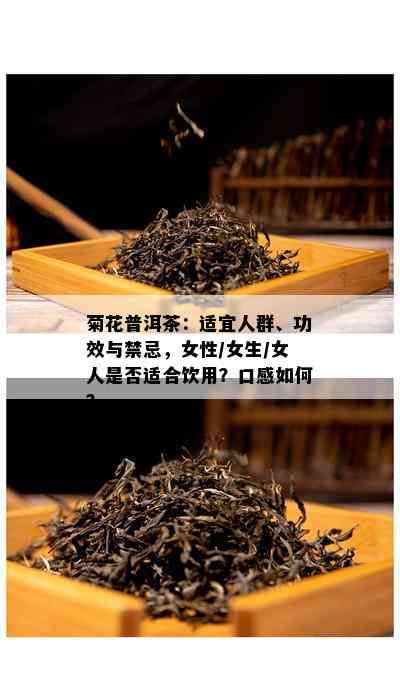 菊花普洱茶：适宜人群、功效与禁忌，女性/女生/女人是否适合饮用？口感如何？