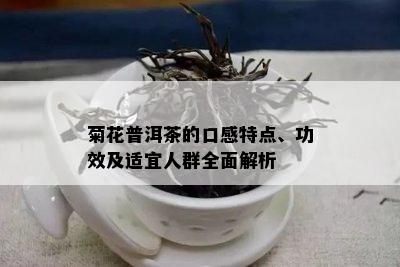 菊花普洱茶的口感特点、功效及适宜人群全面解析