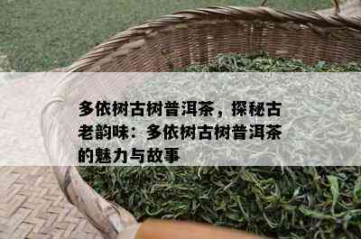 多依树古树普洱茶，探秘古老韵味：多依树古树普洱茶的魅力与故事