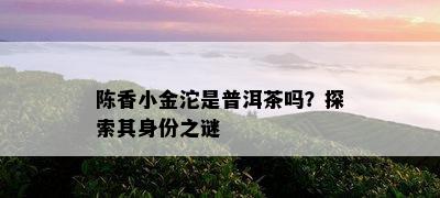 陈香小金沱是普洱茶吗？探索其身份之谜