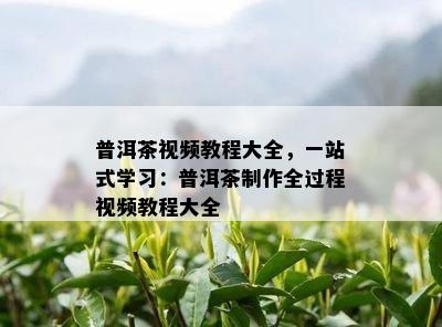 普洱茶视频教程大全，一站式学习：普洱茶制作全过程视频教程大全