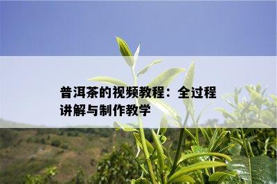 普洱茶的视频教程：全过程讲解与制作教学